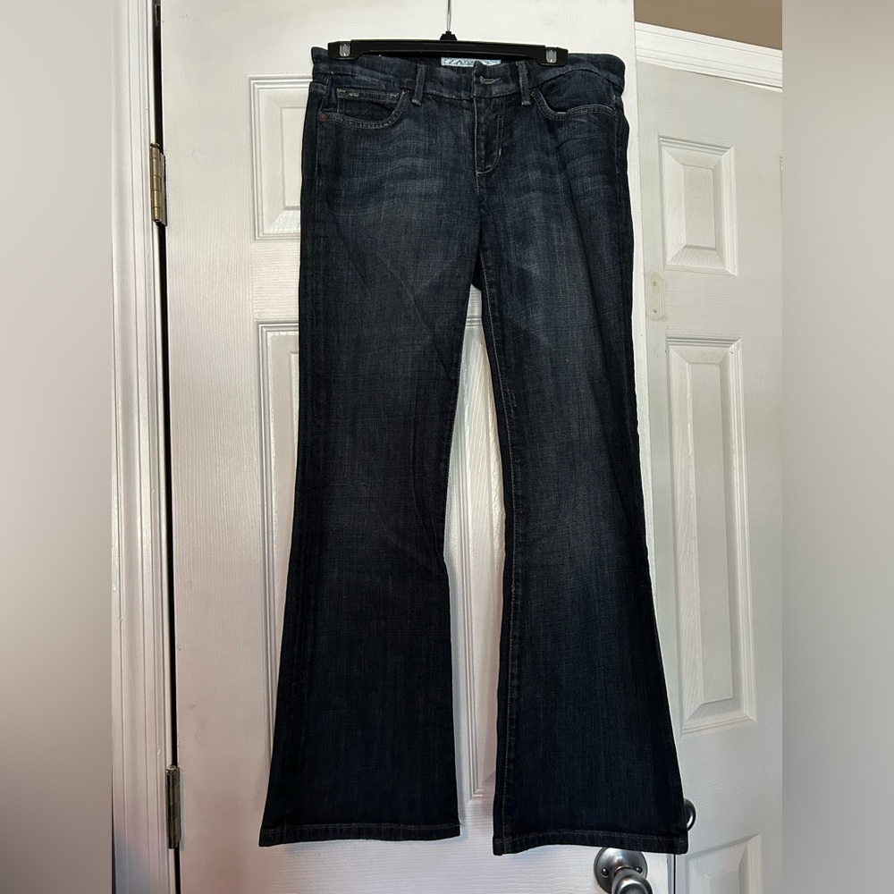 Women’s Joe’s Jeans size 28 with 30’ inseam